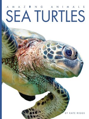 cover image of Sea Turtles
